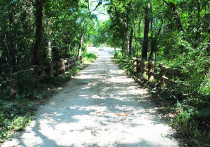 Piney Woods Scenic Motorcycle Rides